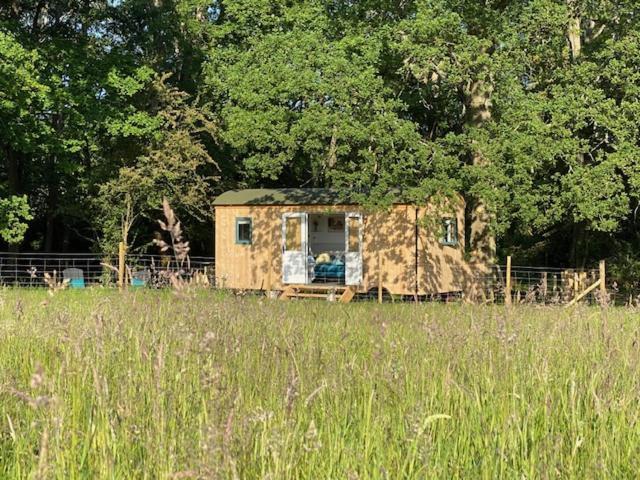 Coachroad Shepherds Huts Петворт Екстер'єр фото